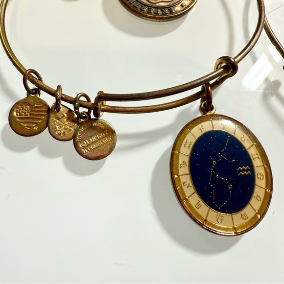 Alex and Ani Charm Bracelets - Set of 5 - Picture 4 of 12